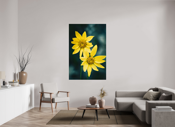 44 x 66″, Photo Print Under Acrylic Glass Wild Sunflower
