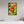 20 x 30″, Floater Frame Indian Paintbrush