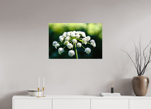 30 x 20″, Canvas with Wrapped Edges, Glossy Wildflower