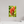 10 x 15″, Photo Print On Fuji Crystal DP II Indian Paintbrush