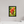 8 x 12″, Floater Frame Indian Paintbrush
