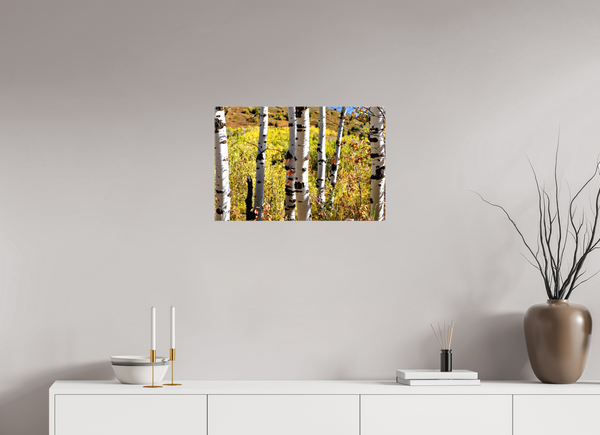24 x 16″, Canvas with Wrapped Edges, Glossy Aspens
