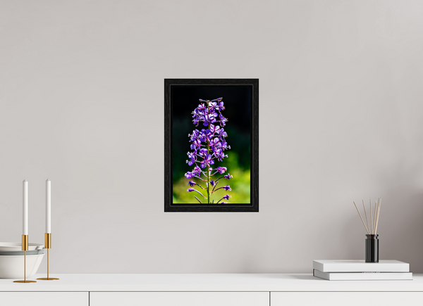 8 x 12″, Floater Frame Violet Lupine