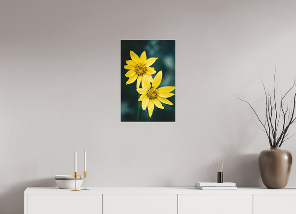 16 x 24″, Direct Print on Aluminum Board, Matte Wild Sunflower