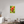 24 x 36″, Photo Print Under Acrylic Glass Indian Paintbrush