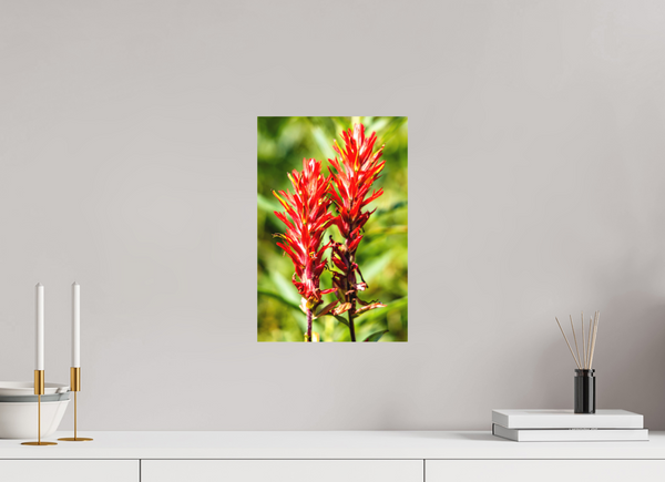 10 x 15″, Direct Print on Aluminum Board, Matte Indian Paintbrush