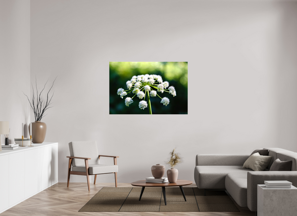 54 x 36″, Canvas with Wrapped Edges, Glossy Wildflower