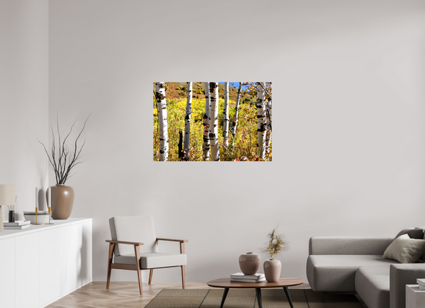 45 x 30″, Canvas with Wrapped Edges, Glossy Aspens