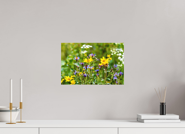 15 x 10″, Direct Print on Aluminum Board, Matte Wildflowers