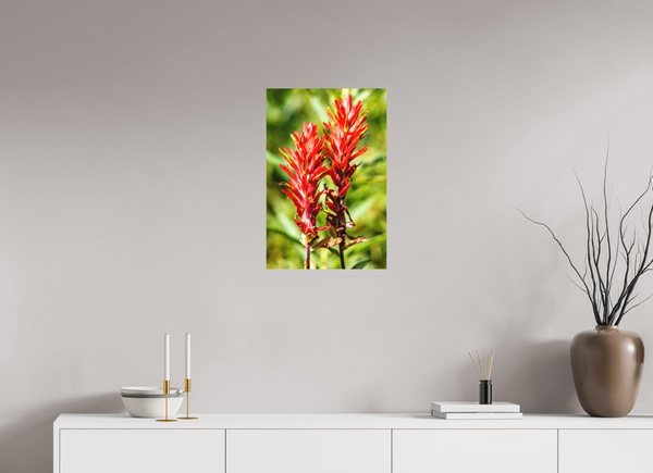 16 x 24″, Direct Print on Aluminum Board, Matte Indian Paintbrush