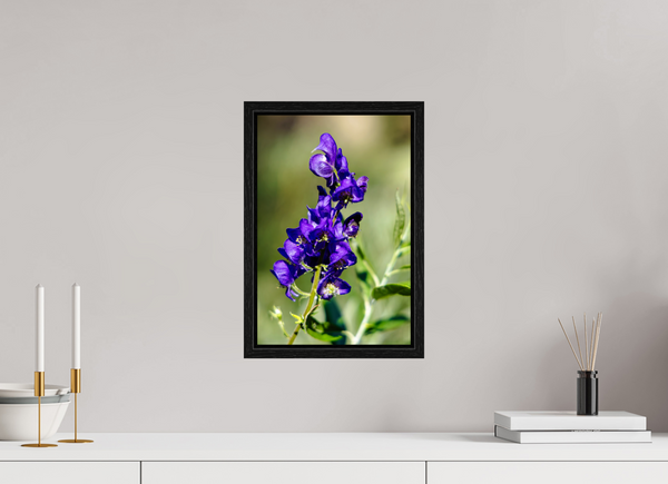 10 x 15″, Floater Frame Violet Wildflower