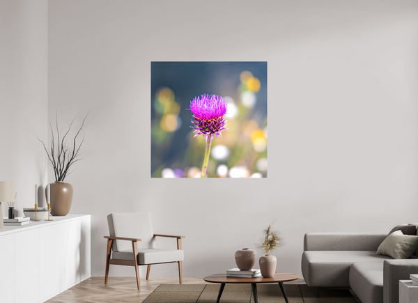 45 x 45″, Canvas with Wrapped Edges, Glossy Wyoming Thistle