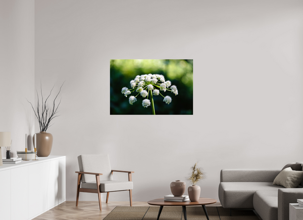 45 x 30″, Photo Print Under Acrylic Glass Wildflower