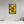 16 x 24″, Floater Frame Indian Paintbrush