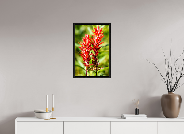 16 x 24″, Floater Frame Indian Paintbrush