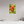 16 x 24″, Photo Print Under Acrylic Glass Indian Paintbrush