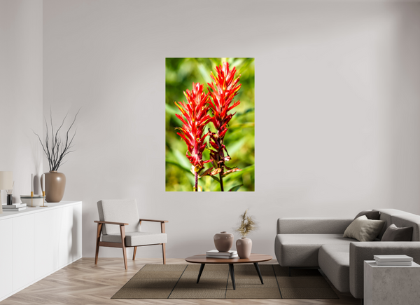 44 x 66″, Photo Print On Fuji Crystal DP II Indian Paintbrush
