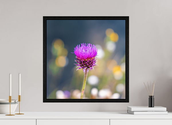 20 x 20″, Floater Frame Wyoming Thistle