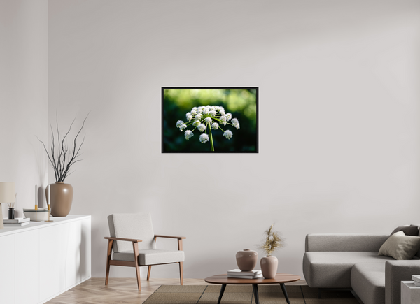 36 x 24″, Floater Frame White Wildflower