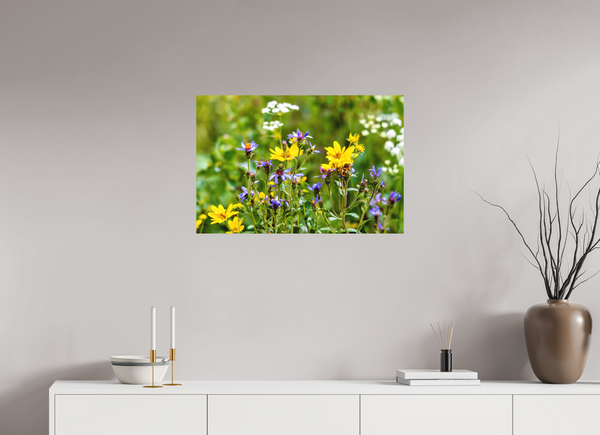 30 x 20″, Direct Print on Aluminum Board, Matte Wildflowers