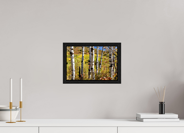 12 x 8″, Floater Frame Aspens, Idaho