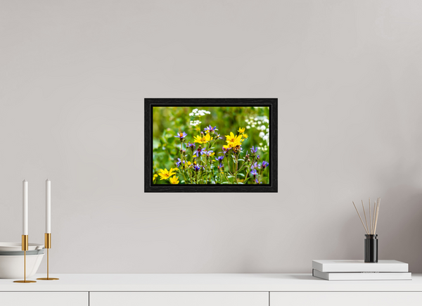 12 x 8″, Floater Frame Wildflowers