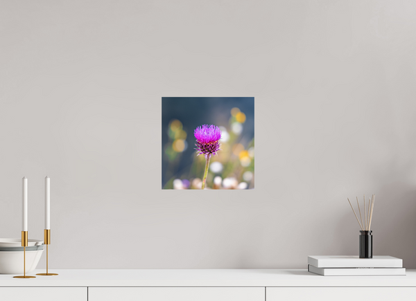 10 x 10″, Photo Print On Fuji Crystal DP II Wyoming Thistle