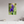 20 x 30″, Photo Print Under Acrylic Glass Wild Monk's Hood