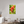 30 x 45″, Photo Print Under Acrylic Glass Indian Paintbrush