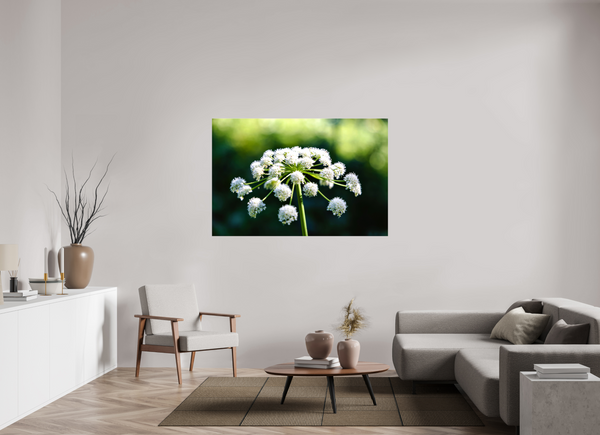 60 x 40″, Canvas with Wrapped Edges, Glossy Wildflower
