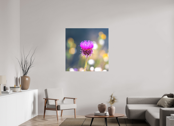 40 x 40″, Canvas with Wrapped Edges, Glossy Wyoming Thistle