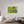 60 x 40″, Direct Print on Aluminum Board, Matte Wildflowers