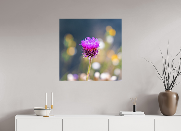 30 x 30″, Photo Print On Fuji Crystal DP II Wyoming Thistle