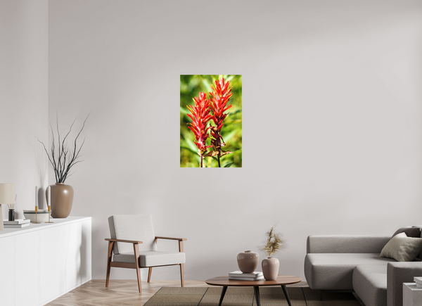 24 x 36″, Direct Print on Aluminum Board, Matte Indian Paintbrush