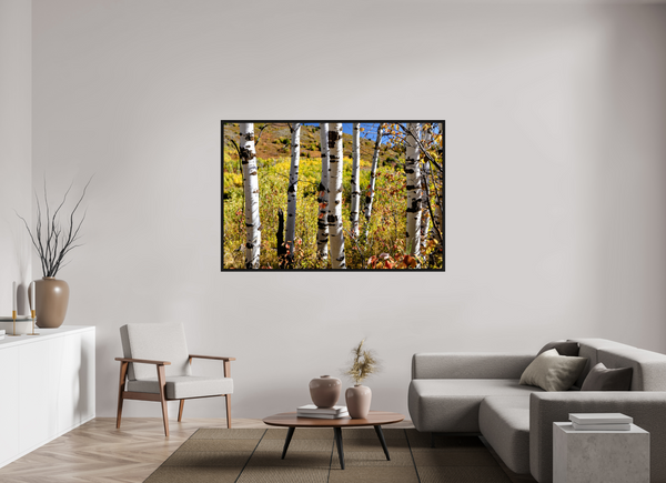 66 x 44″, Floater Frame Aspens, Idaho