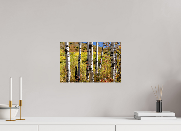 15 x 10″, Photo Print On Fuji Crystal DP II Aspens, Idaho