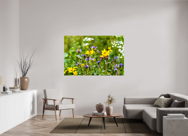 66 x 44″, Photo Print On Fuji Crystal DP II Wildflowers