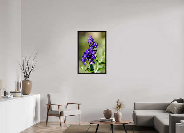 24 x 36″, Floater Frame Violet Wildflower