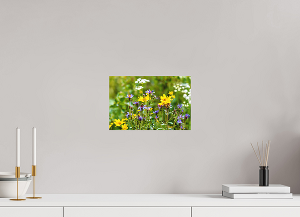 12 x 8″, Direct Print on Aluminum Board, Matte Wildflowers