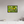 24 x 16″, Floater Frame Wildflowers
