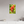 16 x 24″, Photo Print On Fuji Crystal DP II Indian Paintbrush