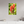 20 x 30″, Direct Print on Aluminum Board, Matte Indian Paintbrush