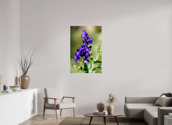 30 x 45″, Photo Print On Fuji Crystal DP II Violet Wildflower