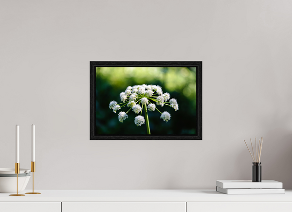 15 x 10″, Floater Frame White Wildflower