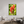 44 x 66″, Floater Frame Indian Paintbrush