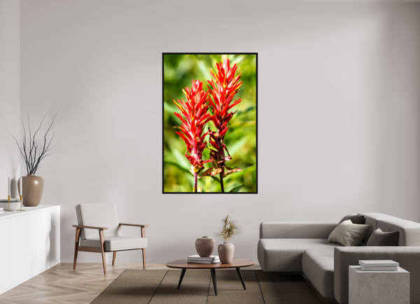 44 x 66″, Floater Frame Indian Paintbrush