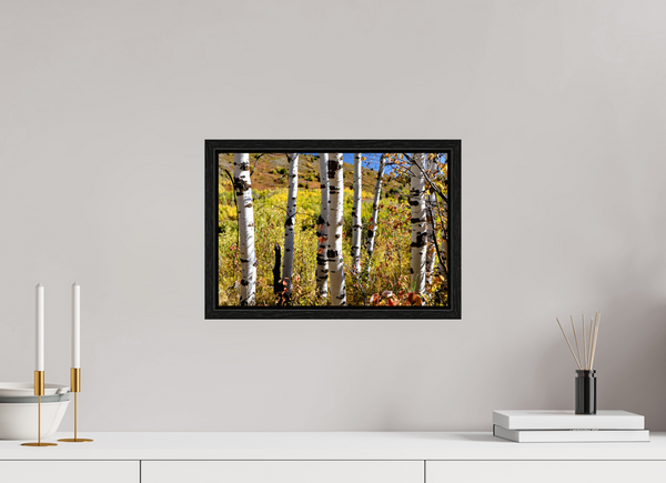 15 x 10″, Floater Frame Aspens, Idaho