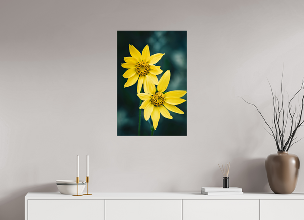 20 x 30″, Photo Print Under Acrylic Glass Wild Sunflower