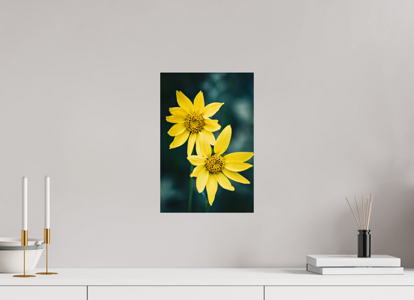 10 x 15″, Photo Print Under Acrylic Glass Wild Sunflower