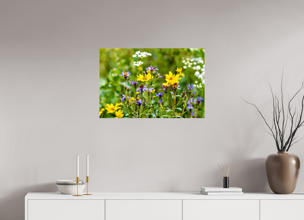 30 x 20″, Photo Print Under Acrylic Glass Wildflowers